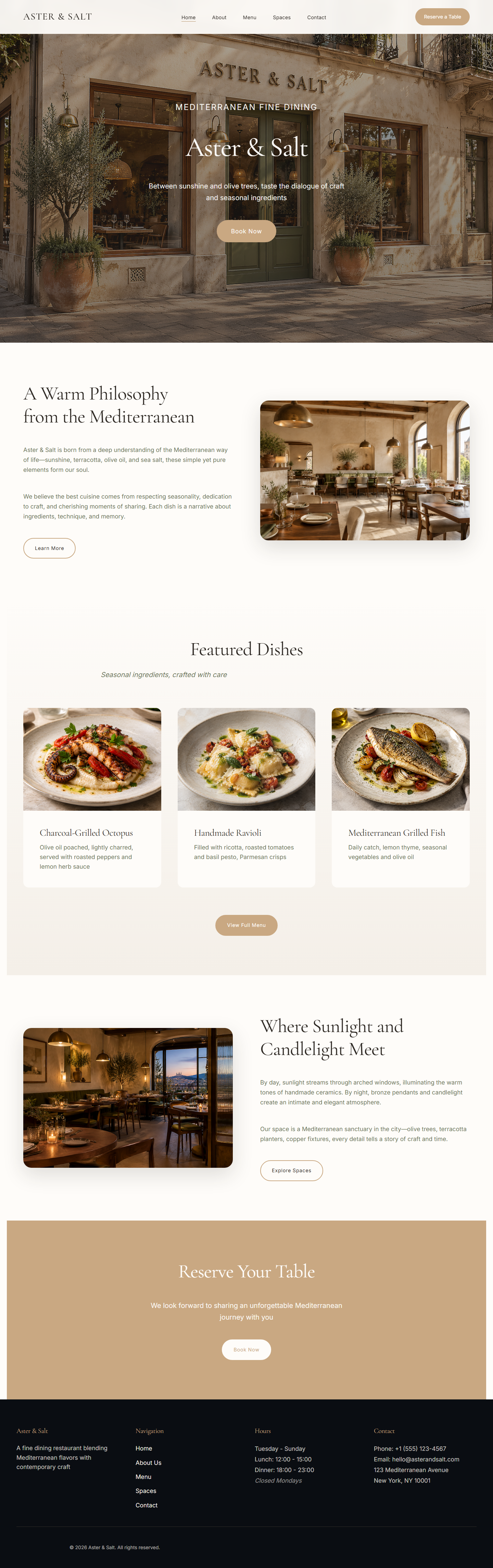Aster & Salt project preview